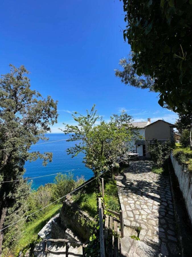 Double Studio Room By The Sea Τσαγκαράδα Εξωτερικό φωτογραφία